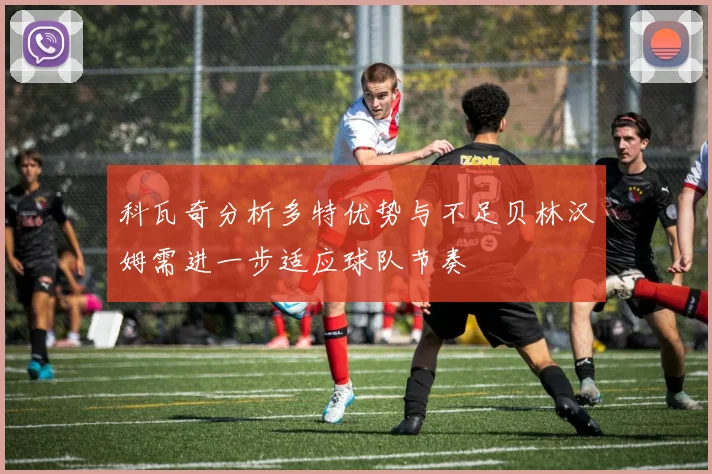 科瓦奇分析多特优势与不足贝林汉姆需进一步适应球队节奏