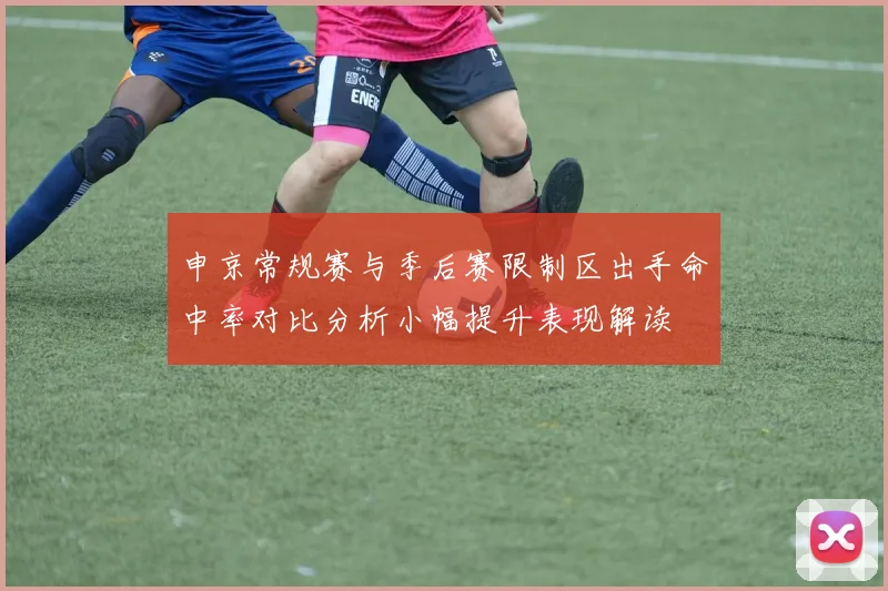 申京常规赛与季后赛限制区出手命中率对比分析小幅提升表现解读